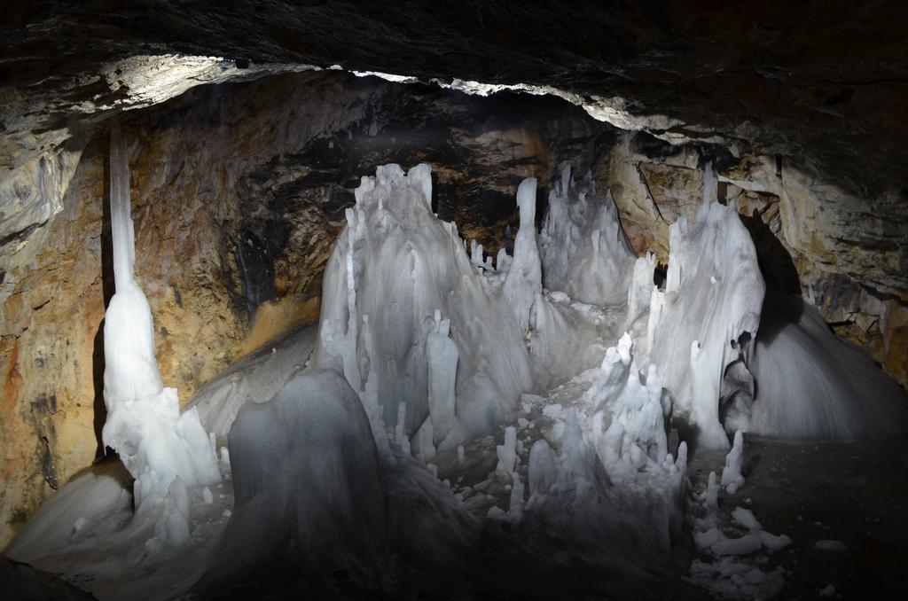Pensiunea Viorica อาริเอเชนิ ภายนอก รูปภาพ