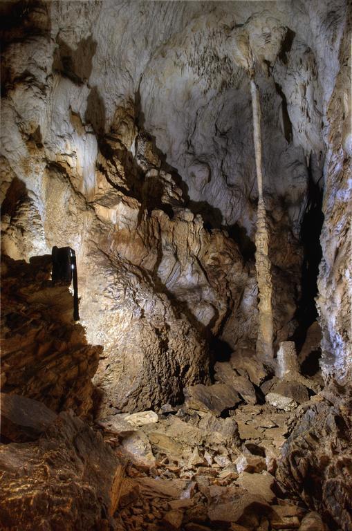 Pensiunea Viorica อาริเอเชนิ ภายนอก รูปภาพ