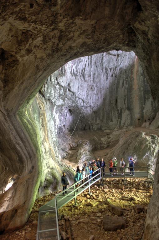 Pensiunea Viorica อาริเอเชนิ ภายนอก รูปภาพ