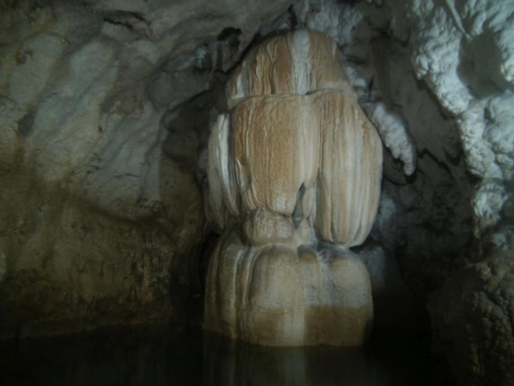 Pensiunea Viorica อาริเอเชนิ ภายนอก รูปภาพ